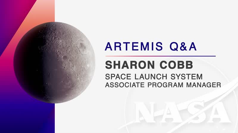 Q&A with Sharon Cobb